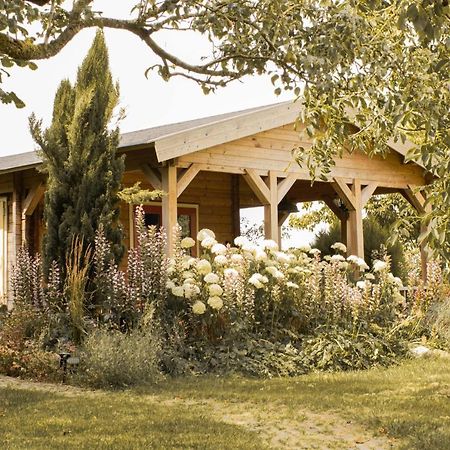 Chalet Ben In Broek Benningbroek Bagian luar foto