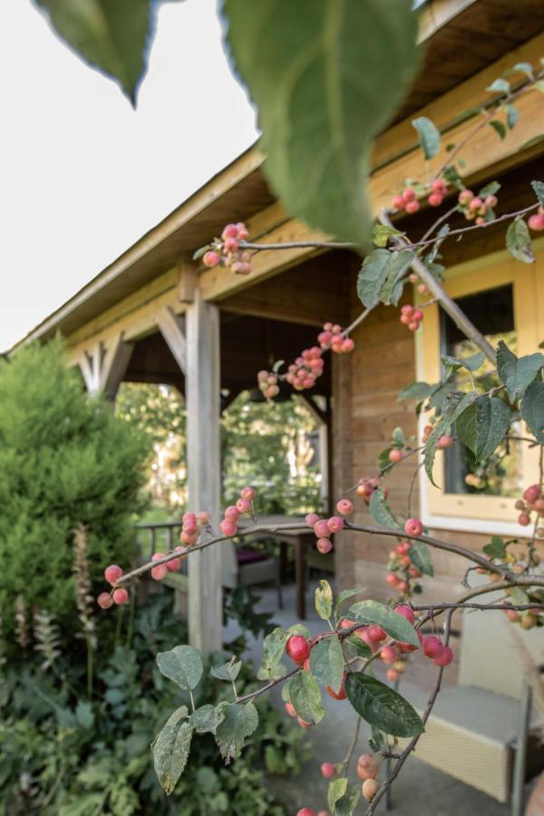 Chalet Ben In Broek Benningbroek Bagian luar foto