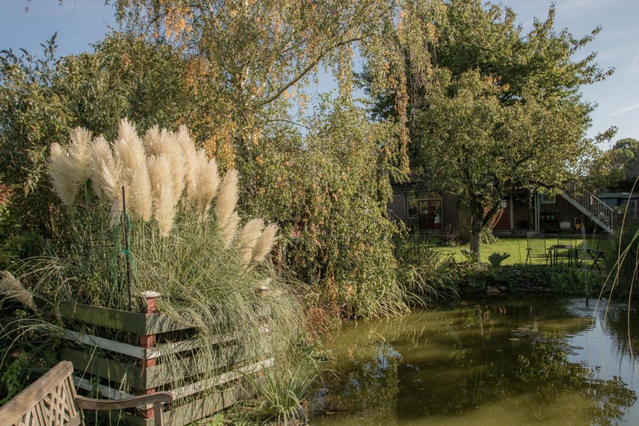 Chalet Ben In Broek Benningbroek Bagian luar foto