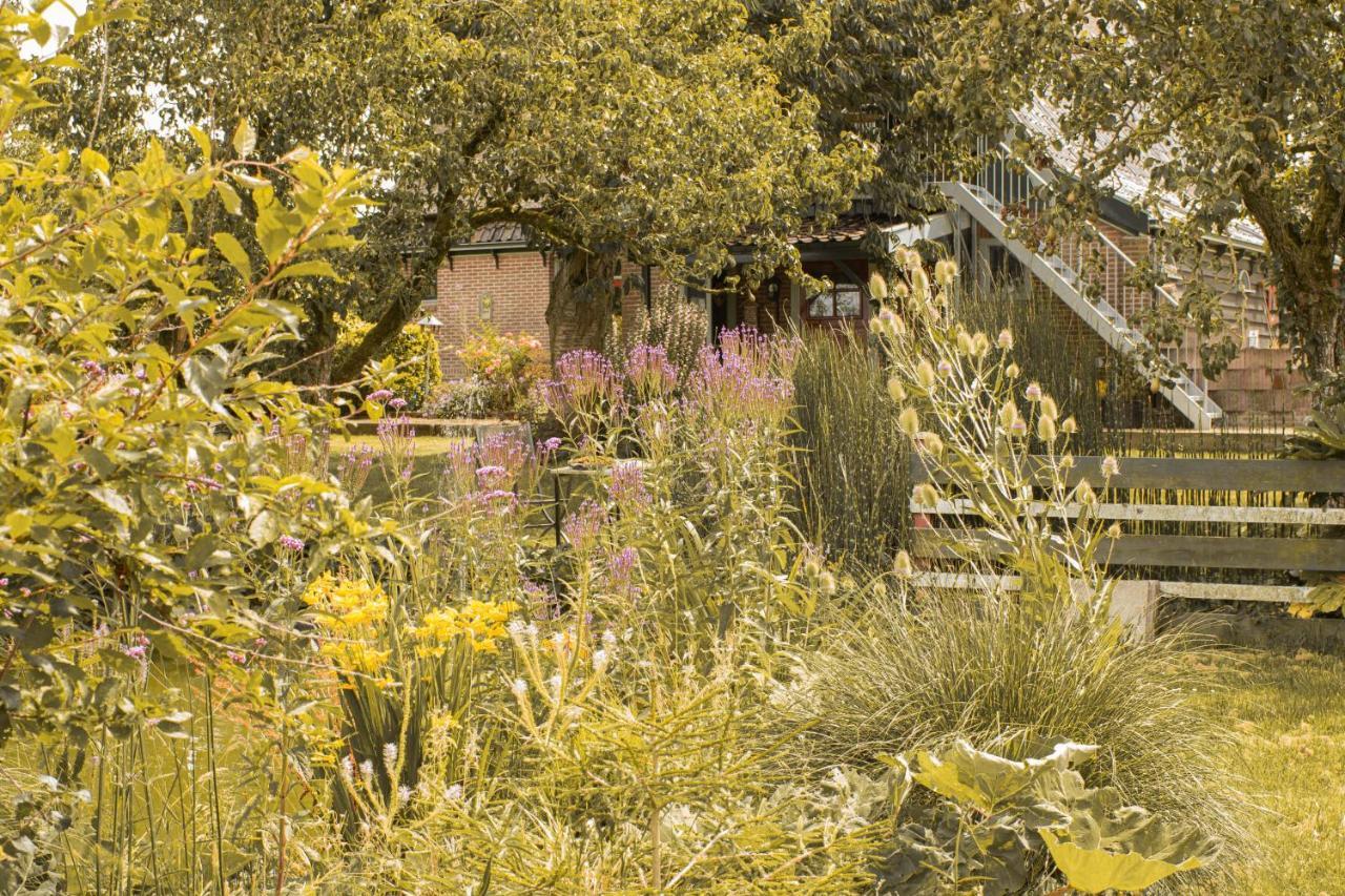 Chalet Ben In Broek Benningbroek Bagian luar foto