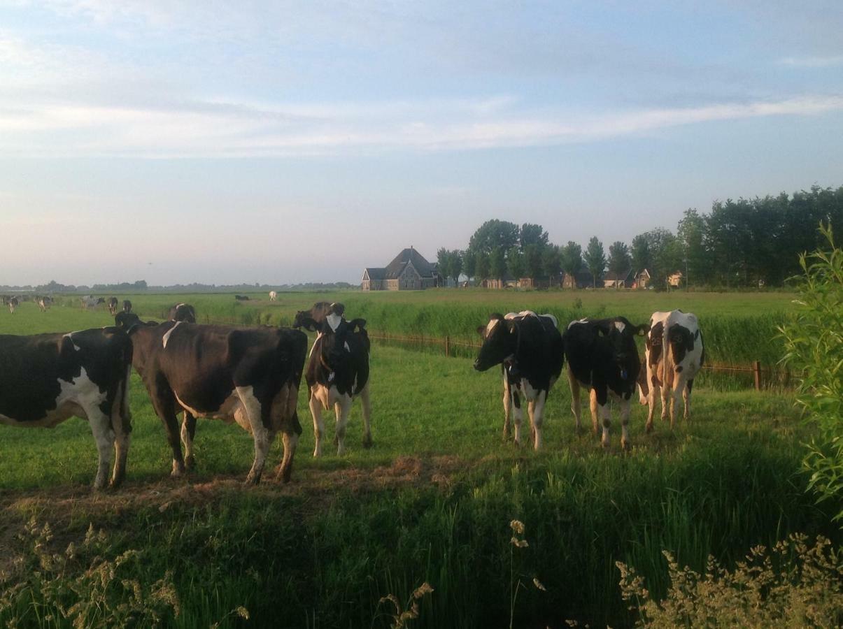 Chalet Ben In Broek Benningbroek Bagian luar foto